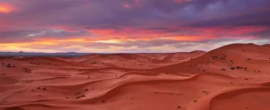 Thrills in the Dunes: An Adventure in the Red Sand Desert