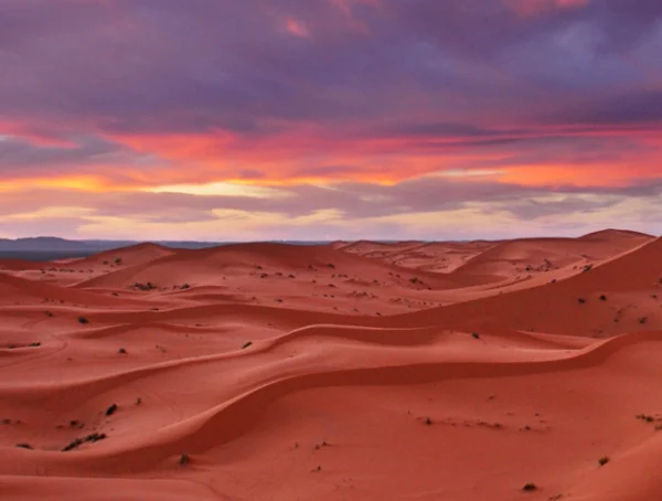 Thrills in the Dunes: An Adventure in the Red Sand Desert