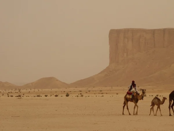 Oasis of Wonders: The Enchantment of Al Ahsa