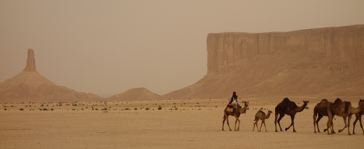 Oasis of Wonders: The Enchantment of Al Ahsa